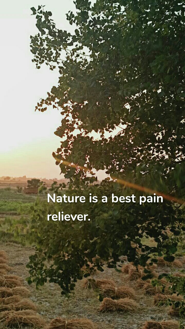 Nature is a best pain reliever. 