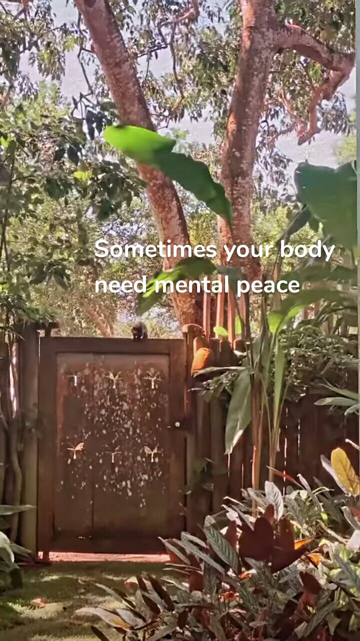 Sometimes your body need mental peace 