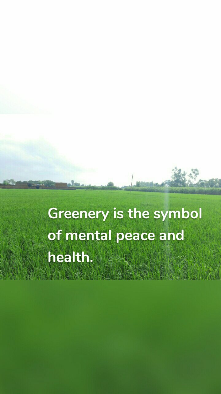 Greenery is the symbol of mental peace and health. 